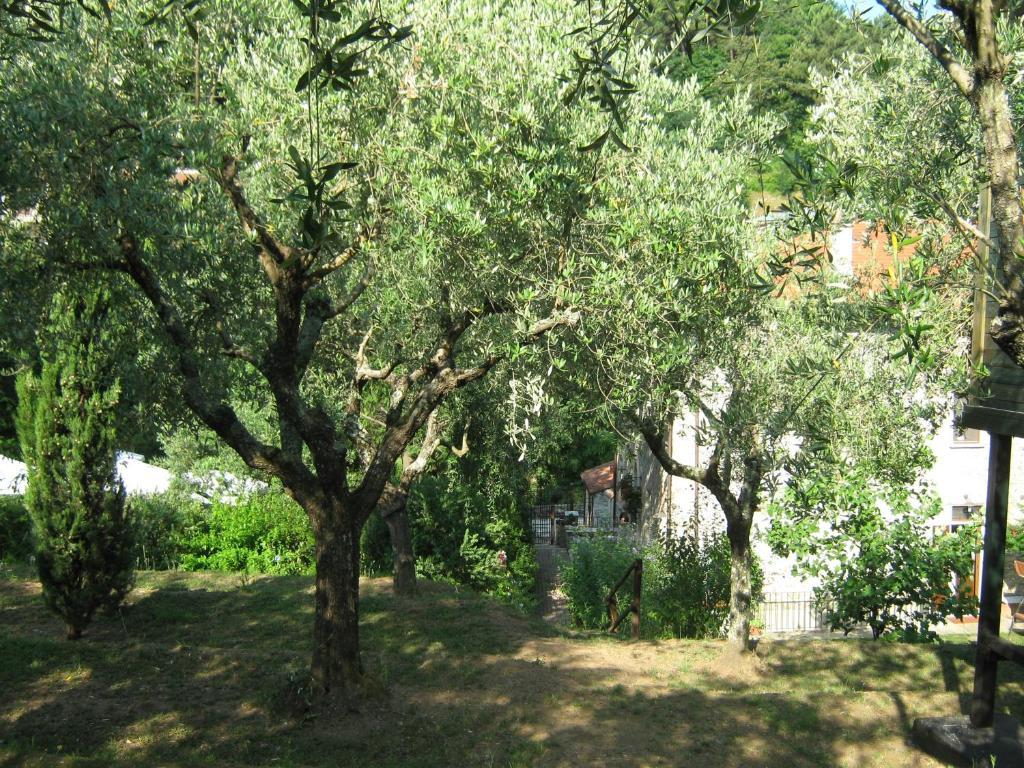 L'Arcadia Konuk evi Pietrasanta Dış mekan fotoğraf
