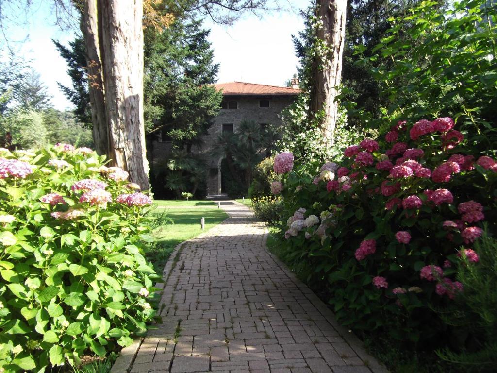 L'Arcadia Konuk evi Pietrasanta Dış mekan fotoğraf