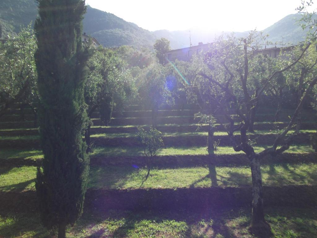 L'Arcadia Konuk evi Pietrasanta Dış mekan fotoğraf